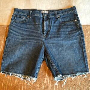 Everlane Cheeky Jean Shorts